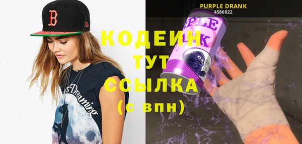 крисы Богородицк