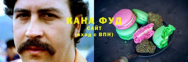 PSILOCYBIN Богданович