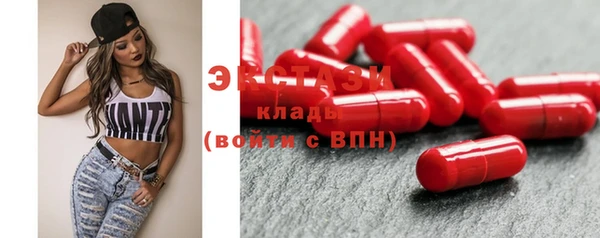 крисы Богородицк