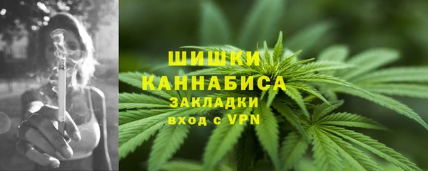 крисы Богородицк