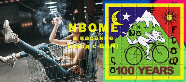 крисы Богородицк