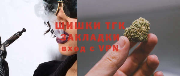 крисы Богородицк