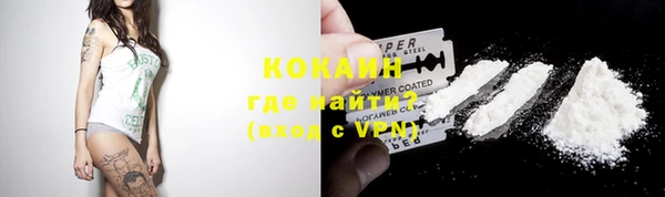 PSILOCYBIN Богданович