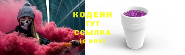 PSILOCYBIN Богданович