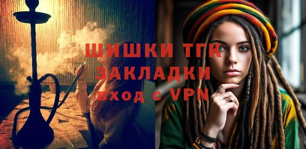 крисы Богородицк