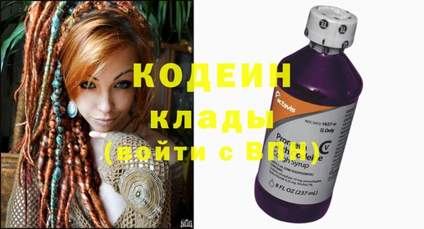 крисы Богородицк