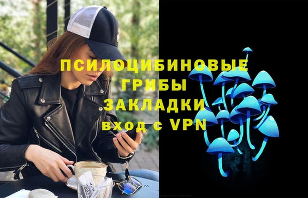 PSILOCYBIN Богданович
