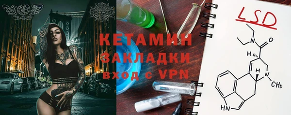 крисы Богородицк