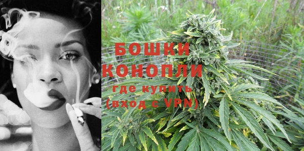 PSILOCYBIN Богданович