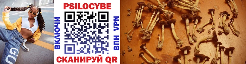 Галлюциногенные грибы MAGIC MUSHROOMS  Купить закладки  Северо-Курильск 
